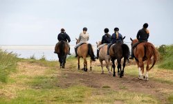 Group of riders at the North Sea