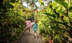 Shandrani Beachcomber Resort & Spa